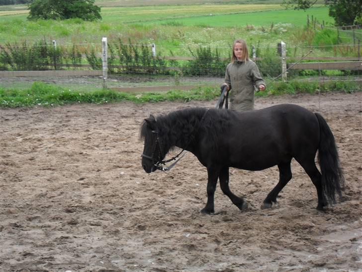 Anden særlig race soffie( mit æsel) - fordi signe og dig har det sjovt billede 17