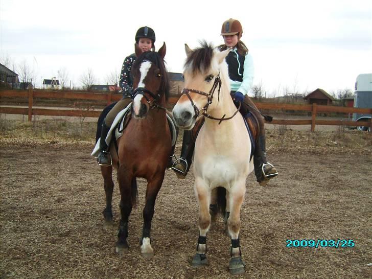Anden særlig race Max - gammel privat part - Max&Aspen<3 billede 1