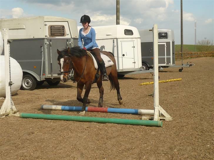 Anden særlig race Max - gammel privat part - lidt bomme : D foto: Joan. billede 2