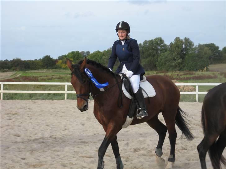 Hollandsk Varmblod Orien (Olivia) - Nr. 2 klubmesterskab i spring RVV sommer 08 billede 8