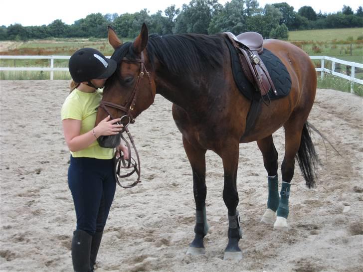 Hollandsk Varmblod Orien (Olivia) - hygge efter ridning:) sommer 08 billede 12