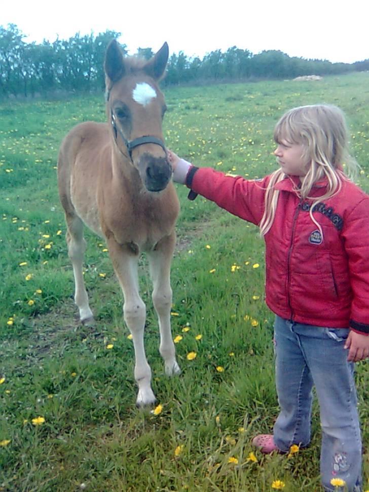 Anden særlig race My billede 20