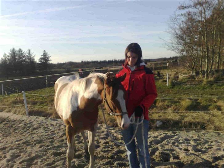 Paint Hawthorns Amber billede 20