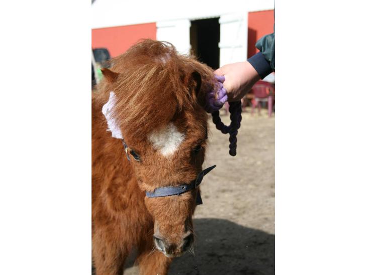 {{currentPhoto.altText}} billede {{currentPhoto.number}}