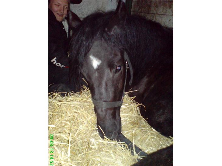 {{currentPhoto.altText}} billede {{currentPhoto.number}}