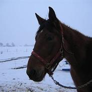 Traver Helena [Tidl. part]