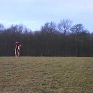 Anden særlig race Frode<3savner diig