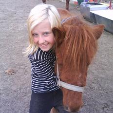 Shetlænder tøsen<3