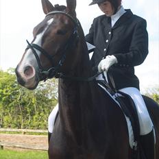 Anden særlig race Santina