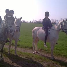 Hollandsk Sportspony  JUANOS (JOENS) <3