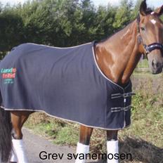 Traver Grev Svanemosen