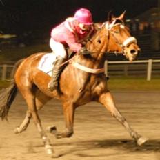 Traver Grev Svanemosen