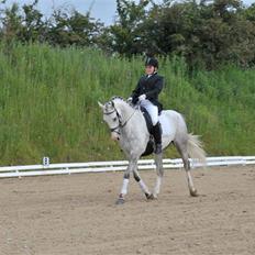 Anden særlig race Malcolm<'3