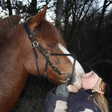 Anden særlig race AN-DRO