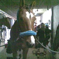 Traver Highlight<3†DØD†savnet:'(