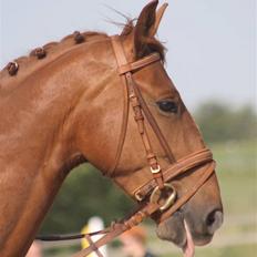 Frederiksborg Legolas Enghaven