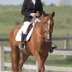 Frederiksborg Legolas Enghaven