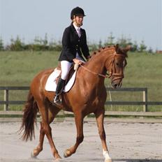 Frederiksborg Legolas Enghaven