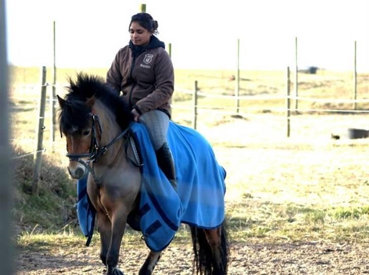 Anden særlig race Robin - * solgt * ! <3 d: billede 9