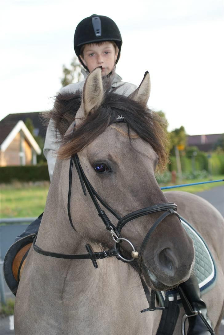 Anden særlig race Søstrenegaards Milla - Taget af Sofie Klüver billede 13