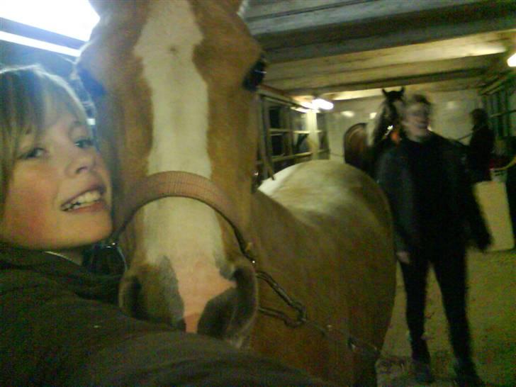 Welsh Pony af Cob-type (sec C) R.I.P Delle (bella). - mig og min lille pige billede 15