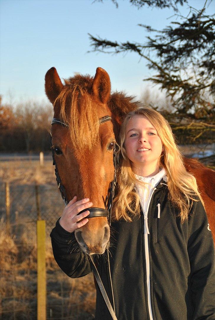 DSP MØRKBAK'S KUNDU - Kundu og jeg<3..
Foto: Kristina Kristoffersen billede 15