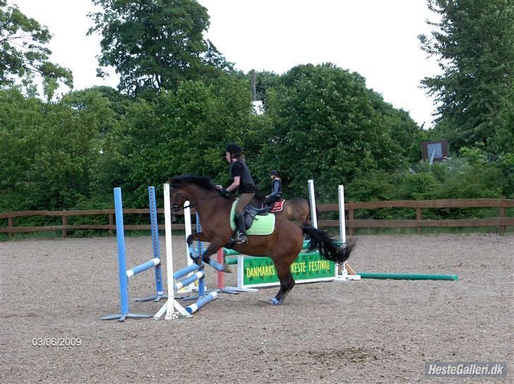 Anden særlig race Max - gammel privat part - spring. foto: Mettes far. billede 6