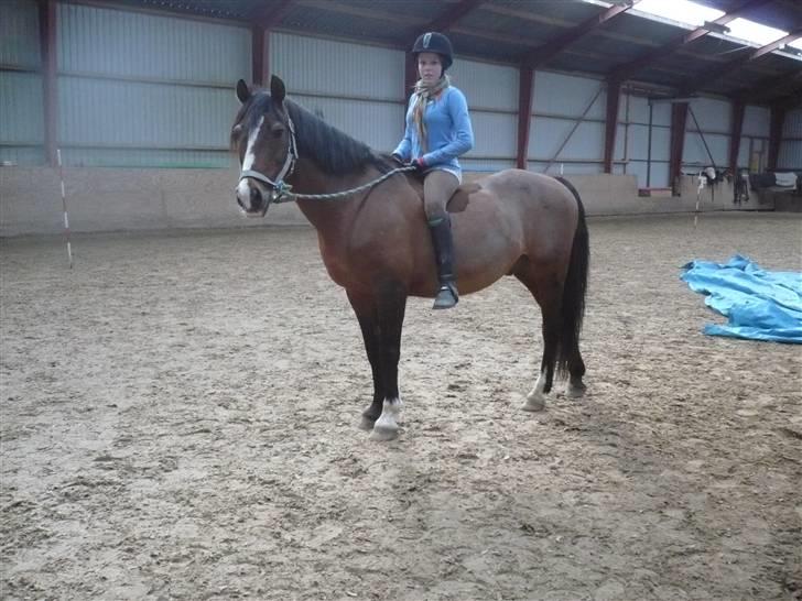 Anden særlig race Max - gammel privat part billede 7