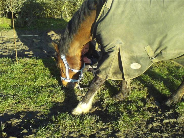 Anden særlig race Max - gammel privat part - Max græsser. Foto Joan billede 8