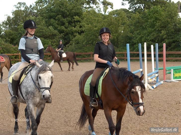 Anden særlig race Max - gammel privat part - Foto: Mettes far. billede 10