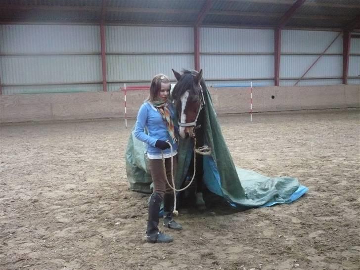 Anden særlig race Max - gammel privat part - Foto: Joan.. billede 11