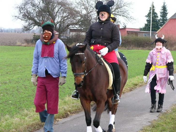 New Forest Romeo’s Eldorado - juleoptog  billede 7