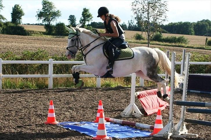 Hollandsk Sportspony  JUANOS (JOENS) <3 - PRETTY FACE :D hopper over den farlige vandgrav. foto : N.S billede 6