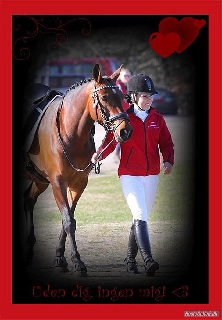 DSP A/G's Domena R.I.P. - tusind tak for billedet ! :D billede 1