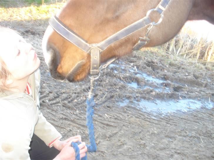 Fuldblod (XX) Milton - R.I.P - 17. Kys :*  billede 16