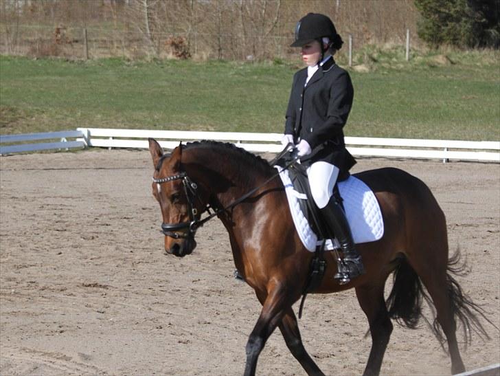 DSP A/G's Domena R.I.P. - stævne :D billede 5