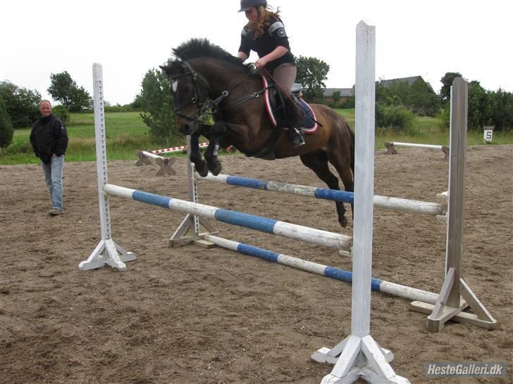 Connemara Bobby af Boest Nørregaard - Springtræning - pony der kommer rigtig fint over oxeren billede 5