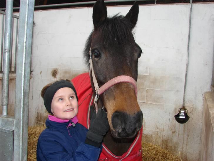 Tysk Sportspony Miss sunshine B pony i dressur - Endelig hjemme, det er en stolt pige som står med sin pony her. Februar 2009 billede 5