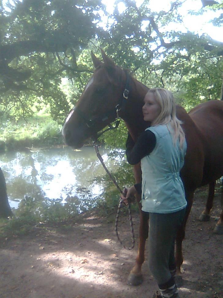 Fuldblod (XX) **Refreshment** R.I.P billede 2