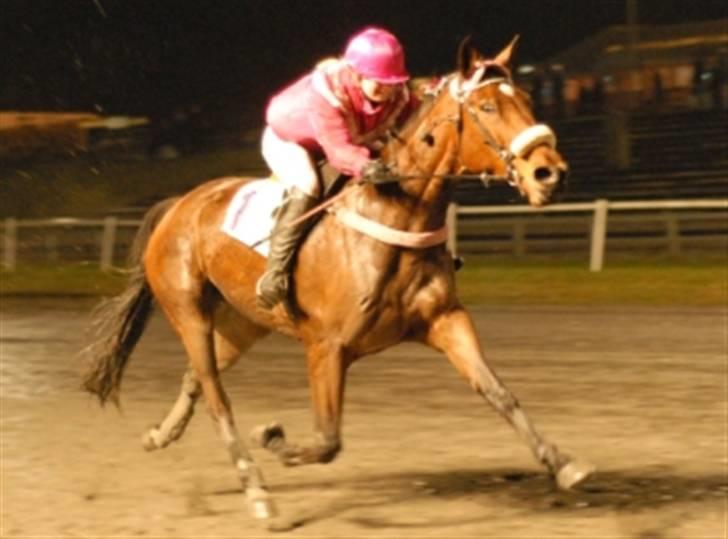 Traver Grev Svanemosen - her vinder vi i århus billede 3