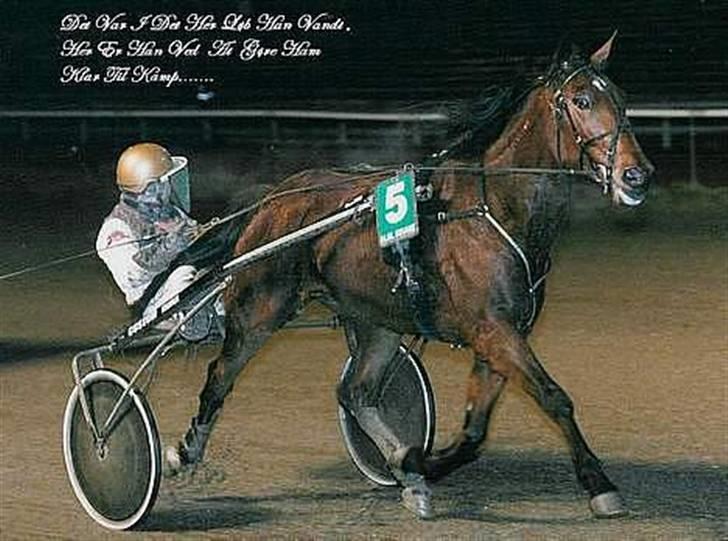 Traver Grev Svanemosen - vi vinder igen... billede 4