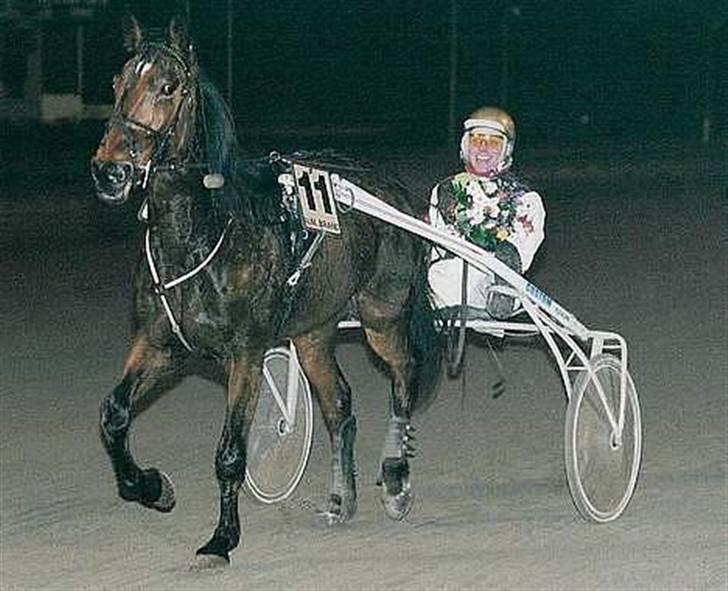 Traver Grev Svanemosen - og igen.. billede 6