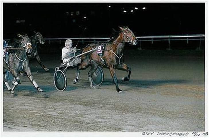 Traver Grev Svanemosen - vi gør det lige en gang mere.. billede 7