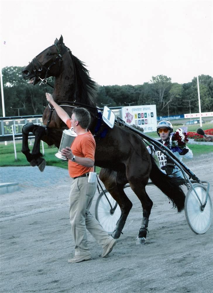Traver Grev Svanemosen - er vi færdig... skal vi ikke tage en tur mere.... billede 9