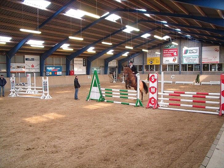 Dansk Varmblod Benny - Stævne en lc er tror jeg nu det er  billede 6