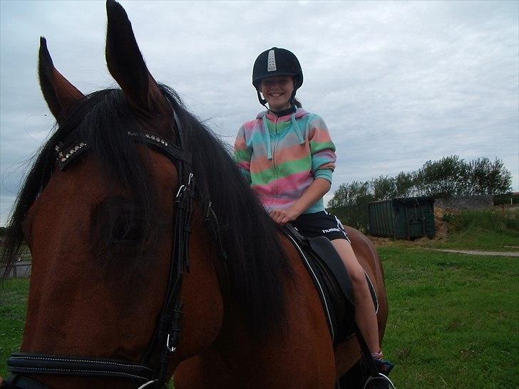 Dansk Varmblod Benny - Lilliesøster fik os lige en tur :D  billede 10