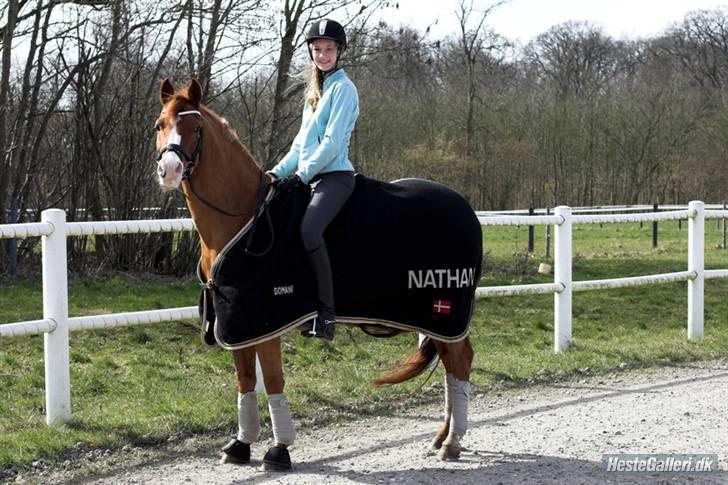 Tysk Sportspony Nathan R.I.P.  - Mig og Nalle <3 billede 2