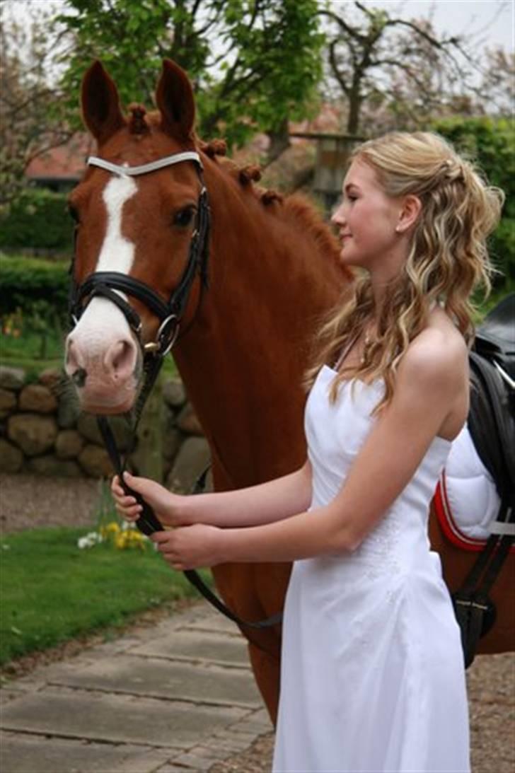 Tysk Sportspony Nathan R.I.P.  - Til min konfirmation ;D billede 5