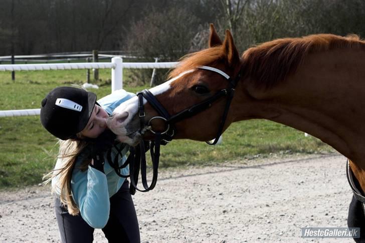 Tysk Sportspony Nathan R.I.P.  - *Mys <3 billede 9