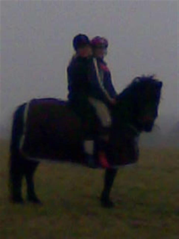 Islænder Heba  fra SDR. SOGNSTRUP - Lidt utydelig, Men... hva så? det er Tenna og mig som sidder oven på Heba :) Love <3 billede 10